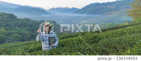 Farmer inspects tea fields. Smart farming and digital farming in Green tea industry. 136339503