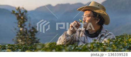 Farmer inspects tea fields. Smart farming and digital farming in Green tea industry. 136339528