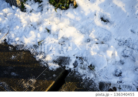 雪が積もった 雪 山道 田舎道 寒波 道路 冬景色 2月 【神奈川県】 136340455
