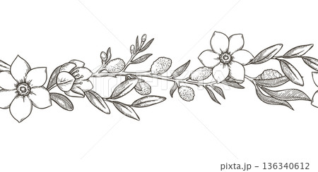 Seamless border with white flower and blooming willow in vintage sketch style. Hand drawn vector decorative festive design. Outline graphic ideal for Easter card template and spring holiday season. Seamless border with white flower and blooming willow in vintage sketch style. Hand drawn vector decorative festive design. Outline graphic ideal for Easter card template and spring holiday season. 136340612