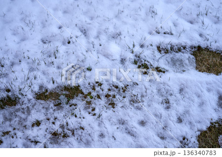 雪道 トレッキング 登山 雪 積雪 2月 136340783