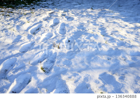 雪道 トレッキング 登山 雪 積雪 2月 雪道 トレッキング 登山 雪 積雪 2月 136340888