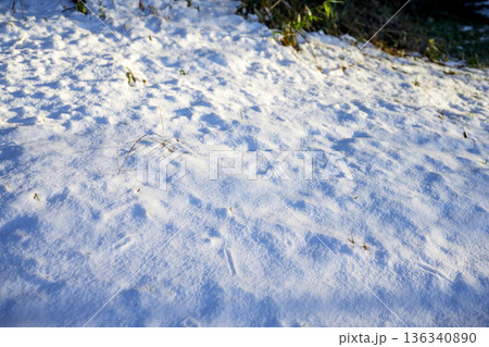 雪道 トレッキング 登山 雪 積雪 2月 雪道 トレッキング 登山 雪 積雪 2月 136340890