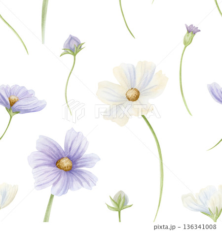 Simple spring floral seamless pattern with wildflowers. Pastel purple and white cosmos flowers watercolor illustration. Blooming plants for spring or summer wedding designs. Elegant floral wallpaper Simple spring floral seamless pattern with wildflowers. Pastel purple and white cosmos flowers watercolor illustration. Blooming plants for spring or summer wedding designs. Elegant floral wallpaper 136341008