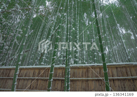雪景色の竹林風景 雪景色の竹林風景 136341169