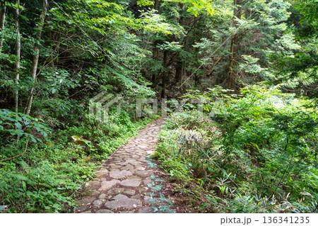 Hiking trail through the Nakasendo between Magome and Tsumago, Japan 136341235