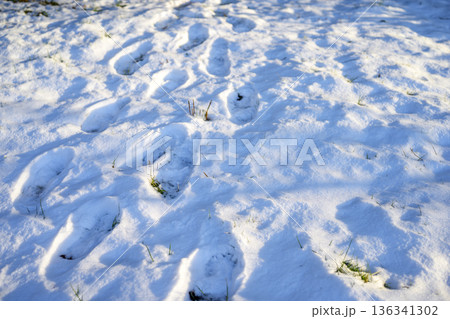 雪景色 雪 積雪 冬 大寒波 一面 2月 雪景色 雪 積雪 冬 大寒波 一面 2月 136341302