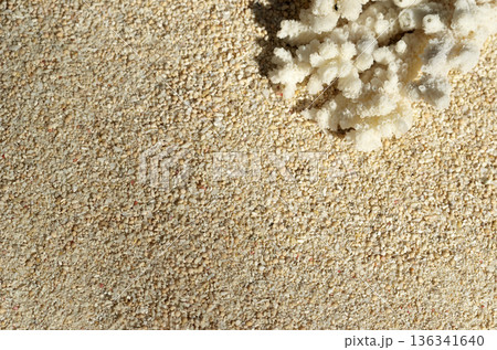 珊瑚の浜　枝サンゴ　グラフィック素材 136341640