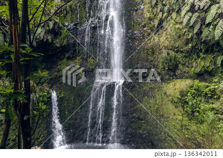 Waterfall on mossy cliff along Levada do Caldeirao Verde PR9 Madeira Portugal Waterfall on mossy cliff along Levada do Caldeirao Verde PR9 Madeira Portugal 136342011