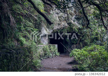 Tunnel entrance on Levada do Caldeirao Verde PR9 Madeira Portugal, mossy walls Tunnel entrance on Levada do Caldeirao Verde PR9 Madeira Portugal, mossy walls 136342012