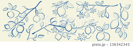 Lemon branches with citrus fruit, flowers, leaves Lemon branches with citrus fruit, flowers, leaves 136342343