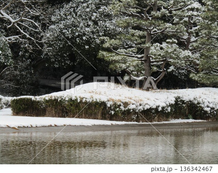 稲毛海浜公園の雪景色 稲毛海浜公園の雪景色 136342467