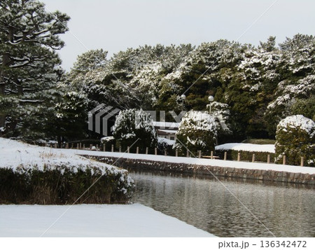 稲毛海浜公園の雪景色 稲毛海浜公園の雪景色 136342472