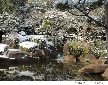 稲毛海浜公園の雪景色 稲毛海浜公園の雪景色 136342476