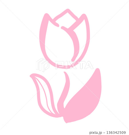 チューリップのシンプル線画アイコン素材(ピンク) チューリップのシンプル線画アイコン素材(ピンク) 136342509