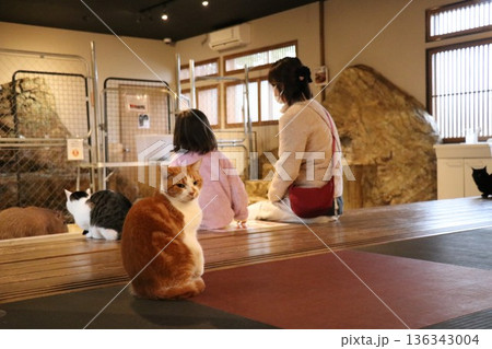 おさるランド＆アニタウン、日光、栃木、さる 136343004