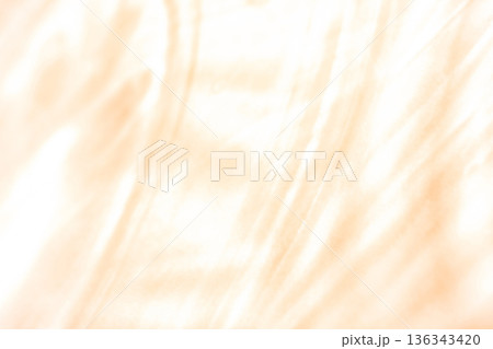 光と影 背景素材 136343420