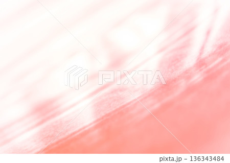 光と影 背景素材 136343484