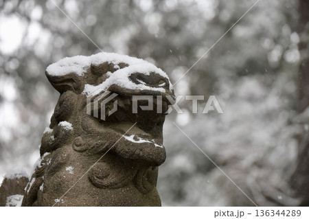 雪の中でポーズをとる狛犬 雪の中でポーズをとる狛犬 136344289