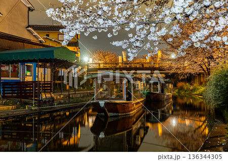 伏見十石舟 桜のある風景  136344305