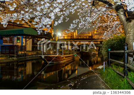 伏見十石舟 桜のある風景 伏見十石舟 桜のある風景 136344306