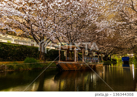 伏見十石舟 桜のある風景  136344308