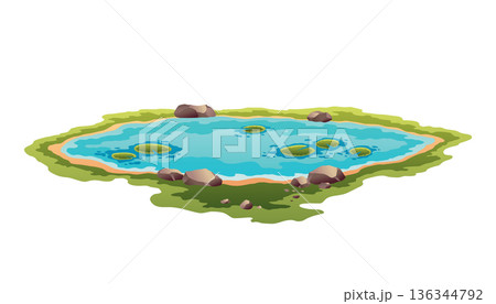 Picturesque natural pond. Concept of open small swamp lake. Water pond with reeds and stone. Natural countryside landscape. Multicolour game scene Picturesque natural pond. Concept of open small swamp lake. Water pond with reeds and stone. Natural countryside landscape. Multicolour game scene 136344792
