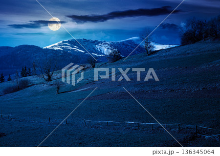 remote mountainous rural landscape in springtime at night. arable and trees on steep slope in green grass in full moon light. distant snow capped peak. mysterious april weather with clouds on the sky remote mountainous rural landscape in springtime at night. arable and trees on steep slope in green grass in full moon light. distant snow capped peak. mysterious april weather with clouds on the sky 136345064