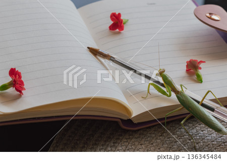 Praying mantis holding a pen, preparing to write in a floral notebook 136345484