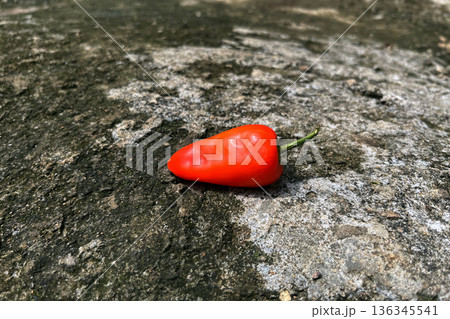 fresh red fresno chili pepper with green stem on dark textured stone surface fresh red fresno chili pepper with green stem on dark textured stone surface 136345541