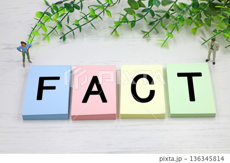 FACT　ファクトの文字素材 136345814