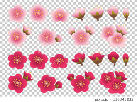 梅の花の花弁や蕾のセット 136345832