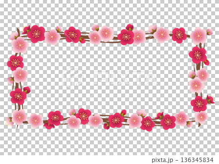 梅の花の四角のフレーム 梅の花の四角のフレーム 136345834