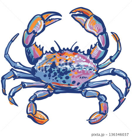 Colorful Sketch Crab Illustration in Modern Decorative Style Colorful Sketch Crab Illustration in Modern Decorative Style 136346037