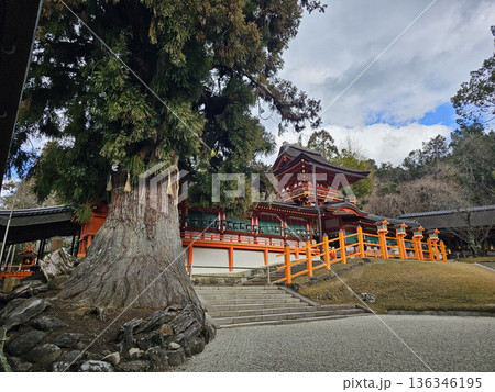 春日大社 奈良県 奈良市 春日野町 春日大社 奈良県 奈良市 春日野町 136346195