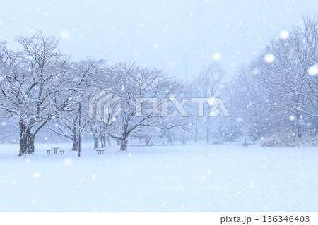 冬の朝の幻想的な美しい雪景色 136346403