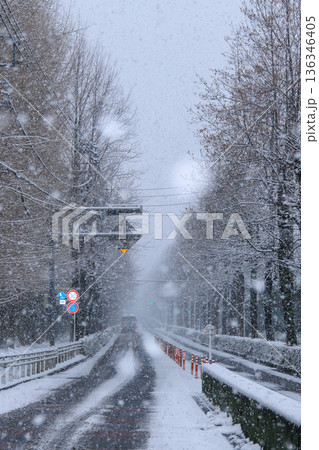 冬の朝の雪の並木道 136346405