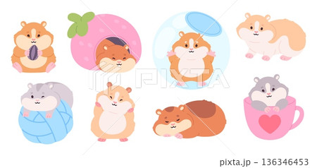 Cartoon fluffy hamster. Cute hamsters, cartoon rodents eating seed, sleep, sitting in cup. Funny rodent pet, children animal mascots, racy vector characters 136346453