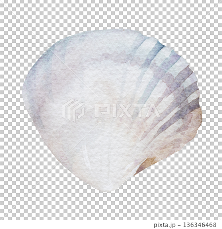 Hand drawn watercolor seashell in beige and grey, isolated illustration for coastal wedding stationery Hand drawn watercolor seashell in beige and grey, isolated illustration for coastal wedding stationery 136346468