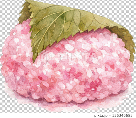 日本の伝統的なお菓子（和菓子）の水彩画イラスト 136346683