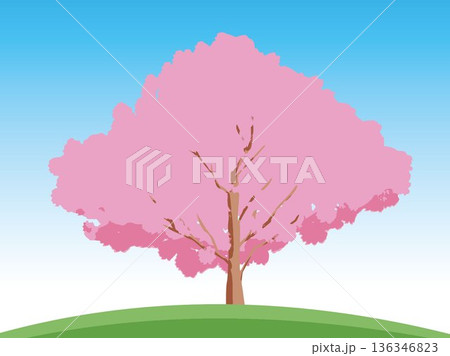 桜の木がある風景 136346823