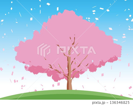 桜の木がある風景 桜の木がある風景 136346825