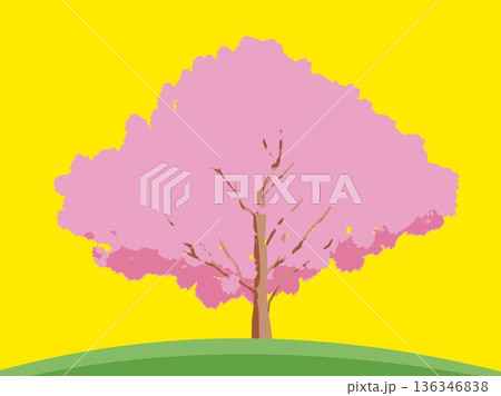桜の木がある風景 136346838