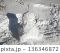 雪だるま 136346872