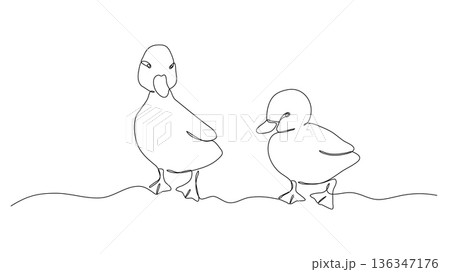One line two sitting ducklings. Continuous drawing of farm baby bird. Linear sketch. Doodle illustration 136347176