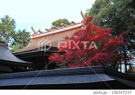 近江 胡宮神社の紅葉 近江 胡宮神社の紅葉 136347337