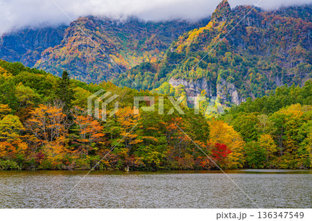 （長野県）湖面に映る秋　戸隠高原・鏡池 136347549