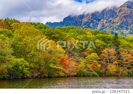 (長野県)湖面に映る秋 戸隠高原・鏡池 (長野県)湖面に映る秋 戸隠高原・鏡池 136347551