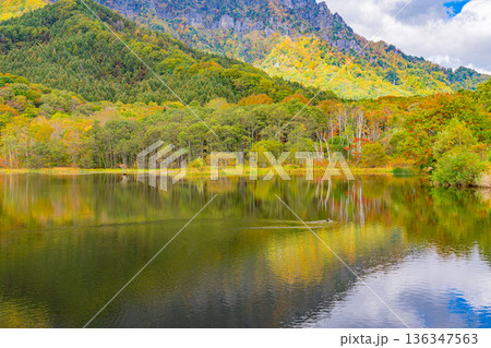（長野県）湖面に映る秋　戸隠高原・鏡池 136347563