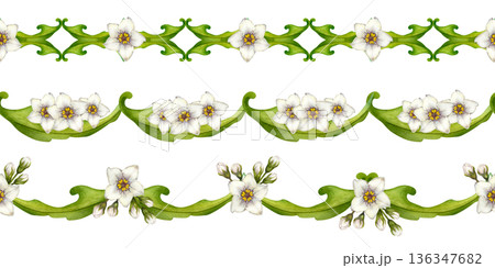 Set of seamless green borders with watercolor white flowers and leaves. Botanical horizontal pattern for holydays, Easter, Mother's Day, labels, frames, greeting cards, and summer and spring decor Set of seamless green borders with watercolor white flowers and leaves. Botanical horizontal pattern for holydays, Easter, Mother's Day, labels, frames, greeting cards, and summer and spring decor 136347682